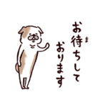 ◯とても敬語すぎる犬たち◯（個別スタンプ：33）