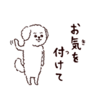 ◯とても敬語すぎる犬たち◯（個別スタンプ：36）