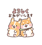 まるまるコーギーところころ柴犬（個別スタンプ：1）