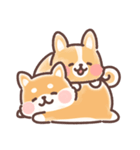 まるまるコーギーところころ柴犬（個別スタンプ：5）