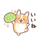 まるまるコーギーところころ柴犬（個別スタンプ：16）
