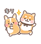 まるまるコーギーところころ柴犬（個別スタンプ：39）