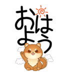 老眼でもくっきりみえる！豆柴のBIGスタンプ（個別スタンプ：1）