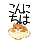 老眼でもくっきりみえる！豆柴のBIGスタンプ（個別スタンプ：2）