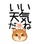 老眼でもくっきりみえる！豆柴のBIGスタンプ（個別スタンプ：3）