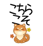 老眼でもくっきりみえる！豆柴のBIGスタンプ（個別スタンプ：8）