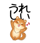 老眼でもくっきりみえる！豆柴のBIGスタンプ（個別スタンプ：10）