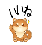 老眼でもくっきりみえる！豆柴のBIGスタンプ（個別スタンプ：12）