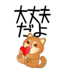老眼でもくっきりみえる！豆柴のBIGスタンプ（個別スタンプ：14）