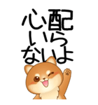 老眼でもくっきりみえる！豆柴のBIGスタンプ（個別スタンプ：15）