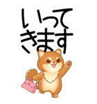 老眼でもくっきりみえる！豆柴のBIGスタンプ（個別スタンプ：17）