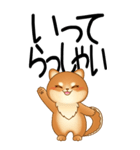 老眼でもくっきりみえる！豆柴のBIGスタンプ（個別スタンプ：18）