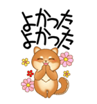 老眼でもくっきりみえる！豆柴のBIGスタンプ（個別スタンプ：19）