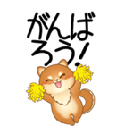 老眼でもくっきりみえる！豆柴のBIGスタンプ（個別スタンプ：20）