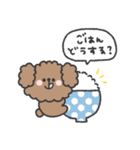 トイプードルさん◎家族恋人連絡 #2（個別スタンプ：1）