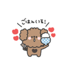 トイプードルさん◎家族恋人連絡 #2（個別スタンプ：2）