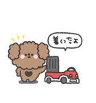 トイプードルさん◎家族恋人連絡 #2（個別スタンプ：15）