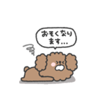 トイプードルさん◎家族恋人連絡 #2（個別スタンプ：20）