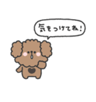 トイプードルさん◎家族恋人連絡 #2（個別スタンプ：23）