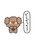 トイプードルさん◎家族恋人連絡 #2（個別スタンプ：28）
