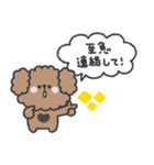 トイプードルさん◎家族恋人連絡 #2（個別スタンプ：36）