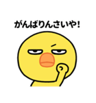 ぶち睨んどるヒヨコ【広島弁】（個別スタンプ：11）