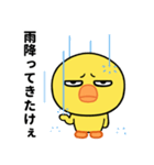 ぶち睨んどるヒヨコ【広島弁】（個別スタンプ：37）