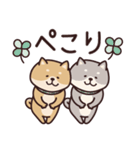 しばいぬ♡黒しば・毎日使う（個別スタンプ：3）