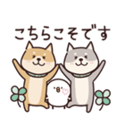 しばいぬ♡黒しば・毎日使う（個別スタンプ：11）