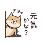 しばいぬ♡黒しば・毎日使う（個別スタンプ：13）