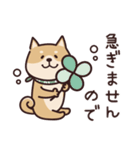 しばいぬ♡黒しば・毎日使う（個別スタンプ：16）