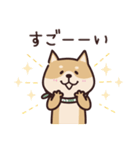 しばいぬ♡黒しば・毎日使う（個別スタンプ：17）