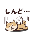 しばいぬ♡黒しば・毎日使う（個別スタンプ：30）