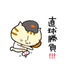 ねこねこ便り13 -野球編-（個別スタンプ：3）