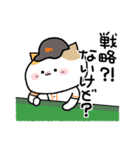 ねこねこ便り13 -野球編-（個別スタンプ：29）