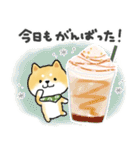 ずっと使える＊しばいぬサン＊優しい日常＊（個別スタンプ：22）