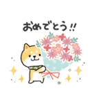 ずっと使える＊しばいぬサン＊優しい日常＊（個別スタンプ：26）