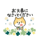 ずっと使える＊しばいぬサン＊優しい日常＊（個別スタンプ：30）