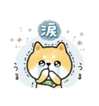 ずっと使える＊しばいぬサン＊優しい日常＊（個別スタンプ：34）