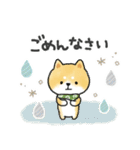 ずっと使える＊しばいぬサン＊優しい日常＊（個別スタンプ：37）