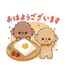 背景が動く♡ふわもこトイプー♡ココ＆メル（個別スタンプ：1）