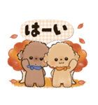 背景が動く♡ふわもこトイプー♡ココ＆メル（個別スタンプ：4）