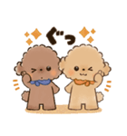 背景が動く♡ふわもこトイプー♡ココ＆メル（個別スタンプ：9）