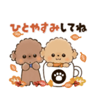 背景が動く♡ふわもこトイプー♡ココ＆メル（個別スタンプ：11）