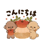 背景が動く♡ふわもこトイプー♡ココ＆メル（個別スタンプ：13）