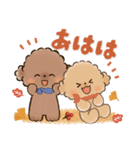 背景が動く♡ふわもこトイプー♡ココ＆メル（個別スタンプ：14）
