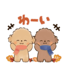 背景が動く♡ふわもこトイプー♡ココ＆メル（個別スタンプ：16）