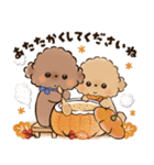 背景が動く♡ふわもこトイプー♡ココ＆メル（個別スタンプ：18）