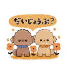 背景が動く♡ふわもこトイプー♡ココ＆メル（個別スタンプ：20）