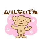 トイプーのぷう太郎 【応援と癒し】（個別スタンプ：2）